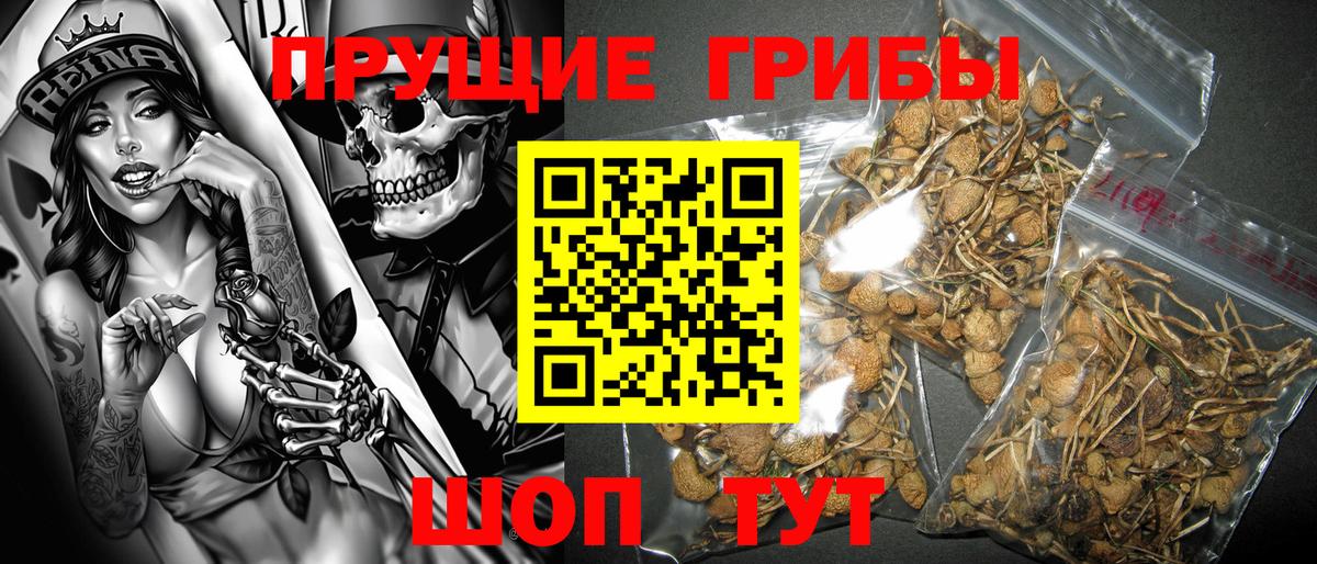 Галлюциногенные грибы прущие грибы Калининград