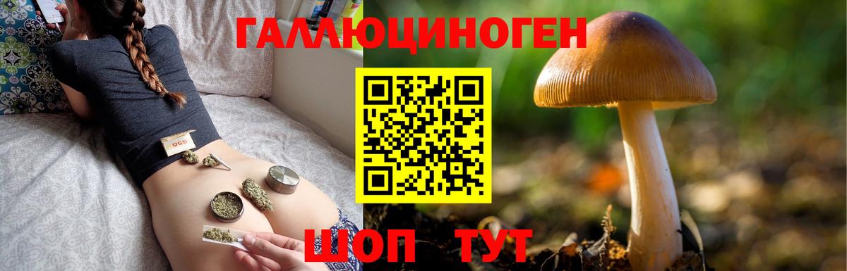 где купить наркотик  Вход с VPN  Калининград  Псилоцибиновые грибы прущие грибы 